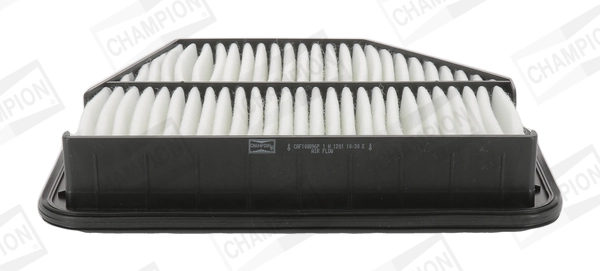 Air Filter CAF100896P
