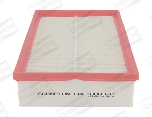 Air Filter CAF100837P