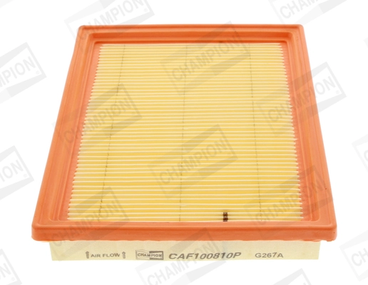 Air Filter CAF100810P