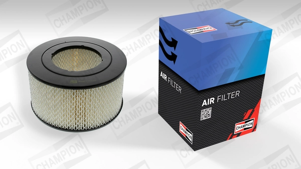 Air Filter CAF100722R