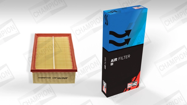 Air Filter CAF101064P