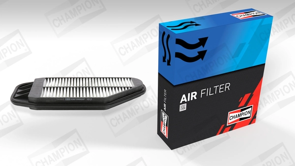 Air Filter CAF100939P
