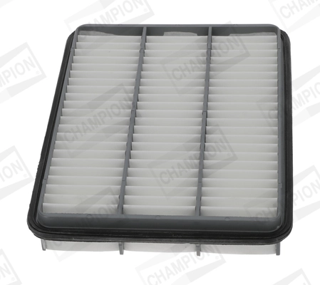 Air Filter CAF100964P