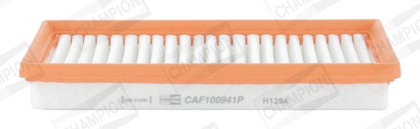 Air Filter CAF100941P