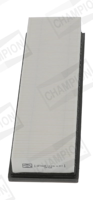 Air Filter CAF100638P