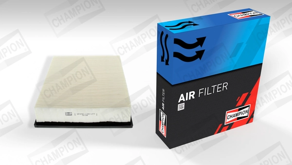 Air Filter CAF100733P