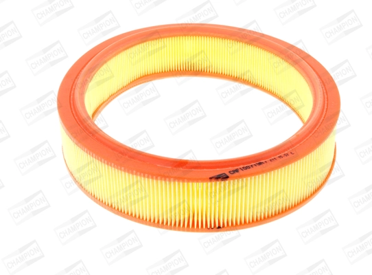 Air Filter CAF100719R