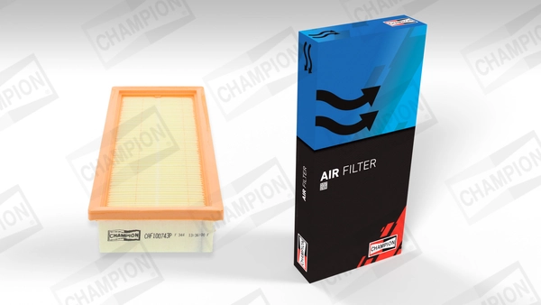 Air Filter CAF100743P