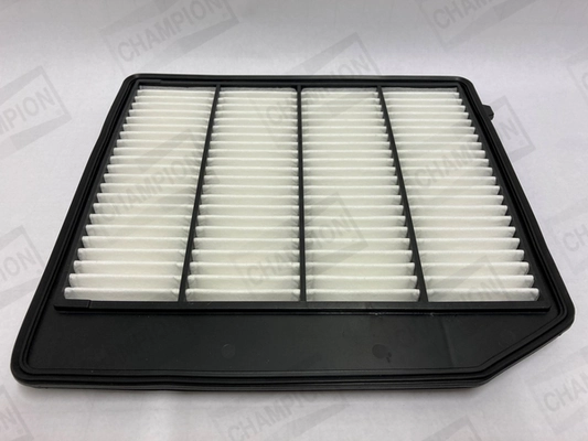 Air Filter CAF101234P