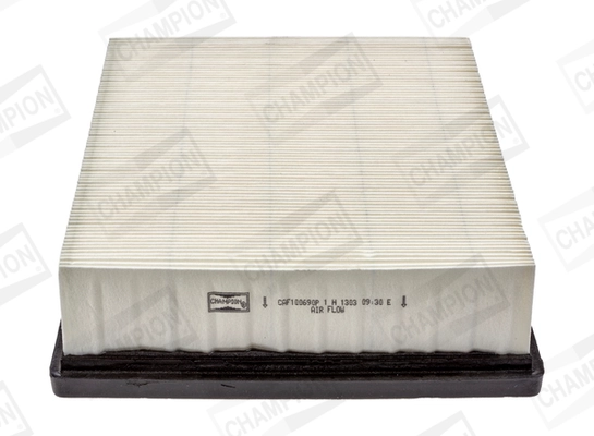Air Filter CAF100690P