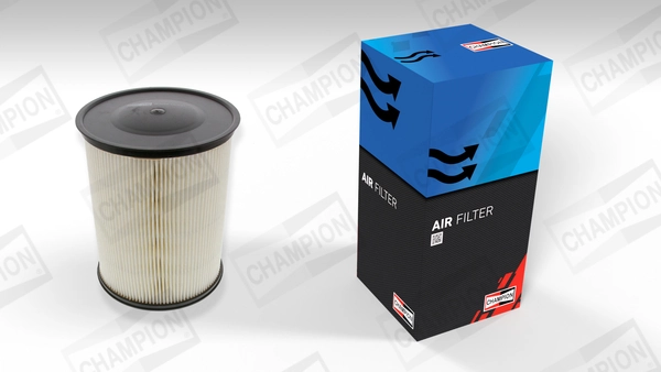 Air Filter CAF100493C