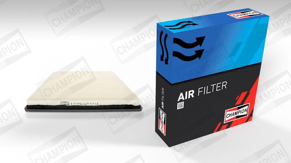 Luftfilter CAF100598P