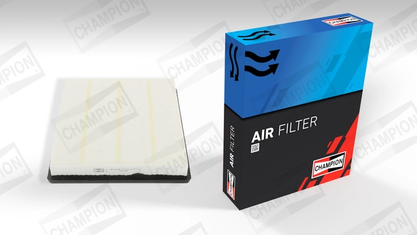 Air Filter CAF100954P