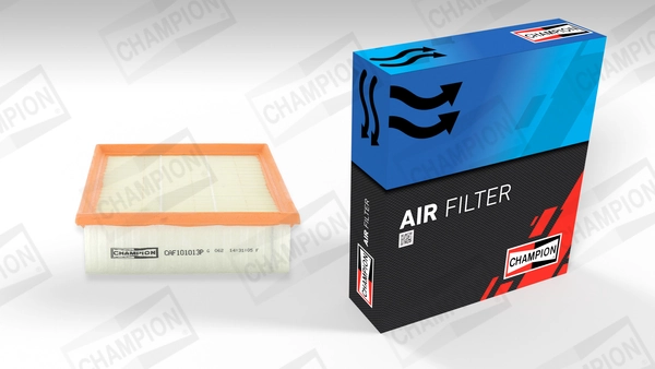 Air Filter CAF101013P