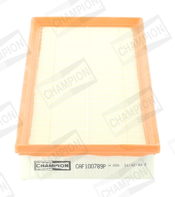 Air Filter CAF100789P