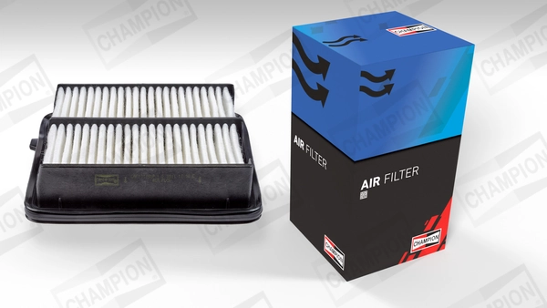 Air Filter CAF101051P