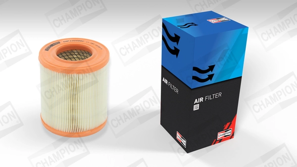 Air Filter CAF100485C