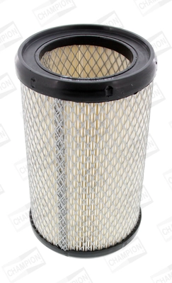 Air Filter CAF100434C