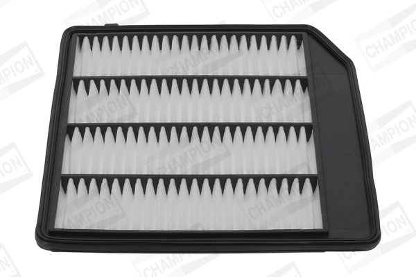Air Filter CAF101234P