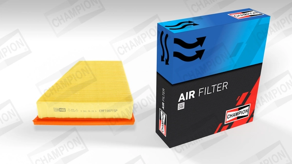 Air Filter CAF100715P