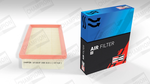 Air Filter CAF100816P