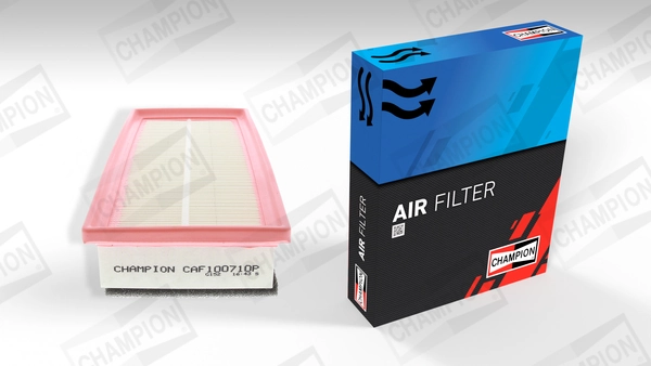 Air Filter CAF100710P