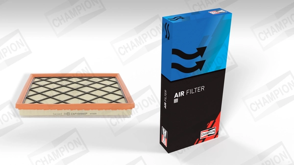 Air Filter CAF100945P