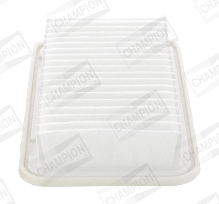 Air Filter CAF100813P