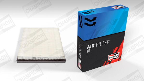 Air Filter CAF100958P