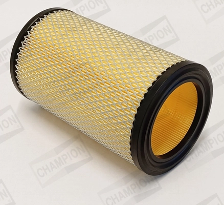 Air Filter CAF100115R