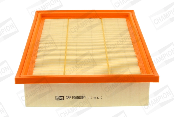 Air Filter CAF100583P