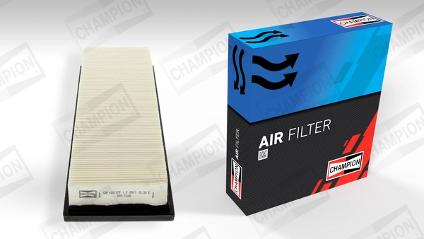 Air Filter CAF100737P