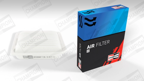 Air Filter CAF100940P