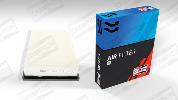 Air Filter CAF100867P