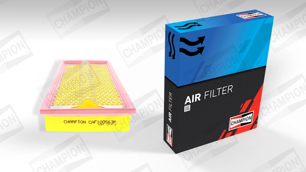Air Filter CAF100563P