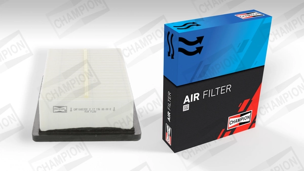 Air Filter CAF100535P