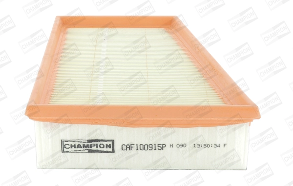 Air Filter CAF100915P