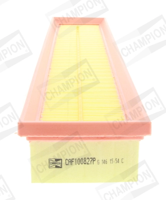 Air Filter CAF100827P