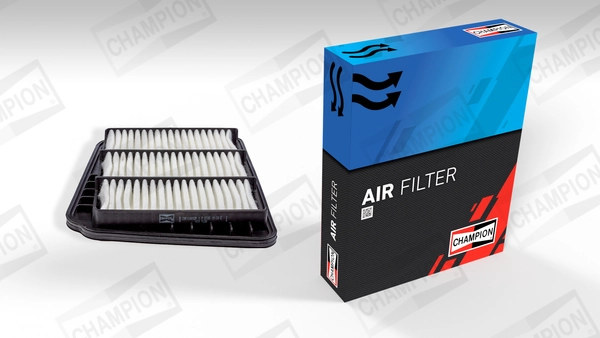 Air Filter CAF100802P