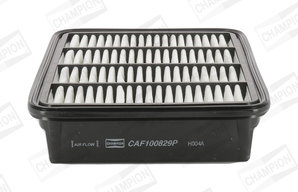 Air Filter CAF100829P