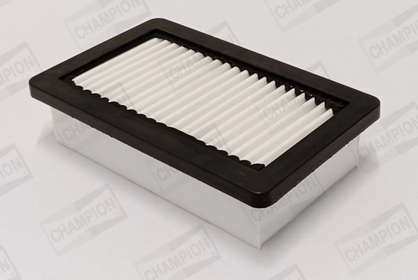 Air Filter CAF101231P