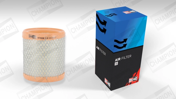 Air Filter CAF100438C
