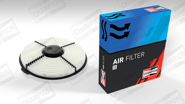 Air Filter CAF100211R