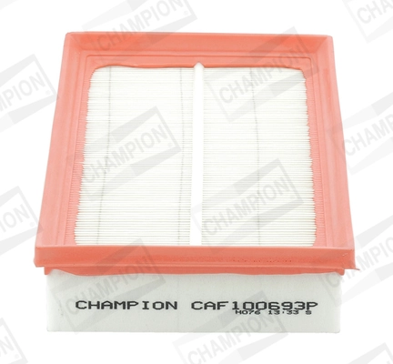 Air Filter CAF100693P