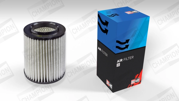 Luftfilter CAF100499C