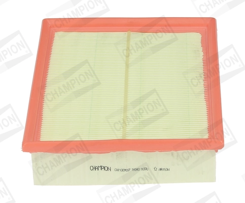 Air Filter CAF100955P