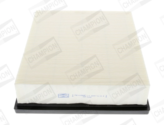Air Filter CAF100866P