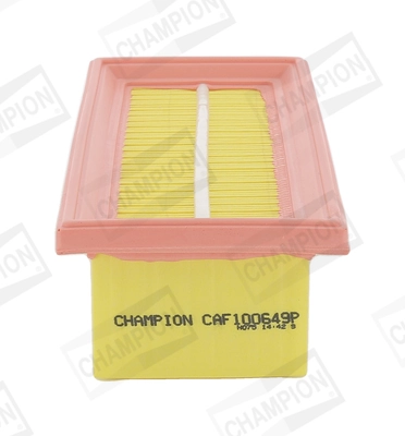 Air Filter CAF100649P