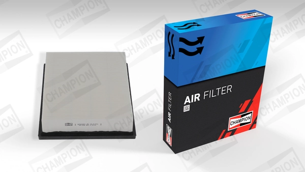 Air Filter CAF101183P