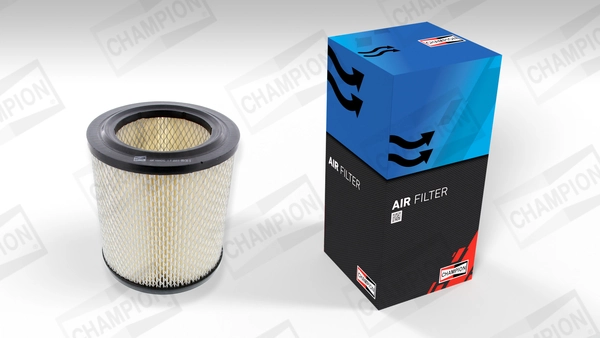 Air Filter CAF100431C